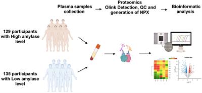 Differential expression of cardiometabolic and inflammation markers and signaling pathways between overweight/obese Qatari adults with high and low plasma salivary α-amylase activity